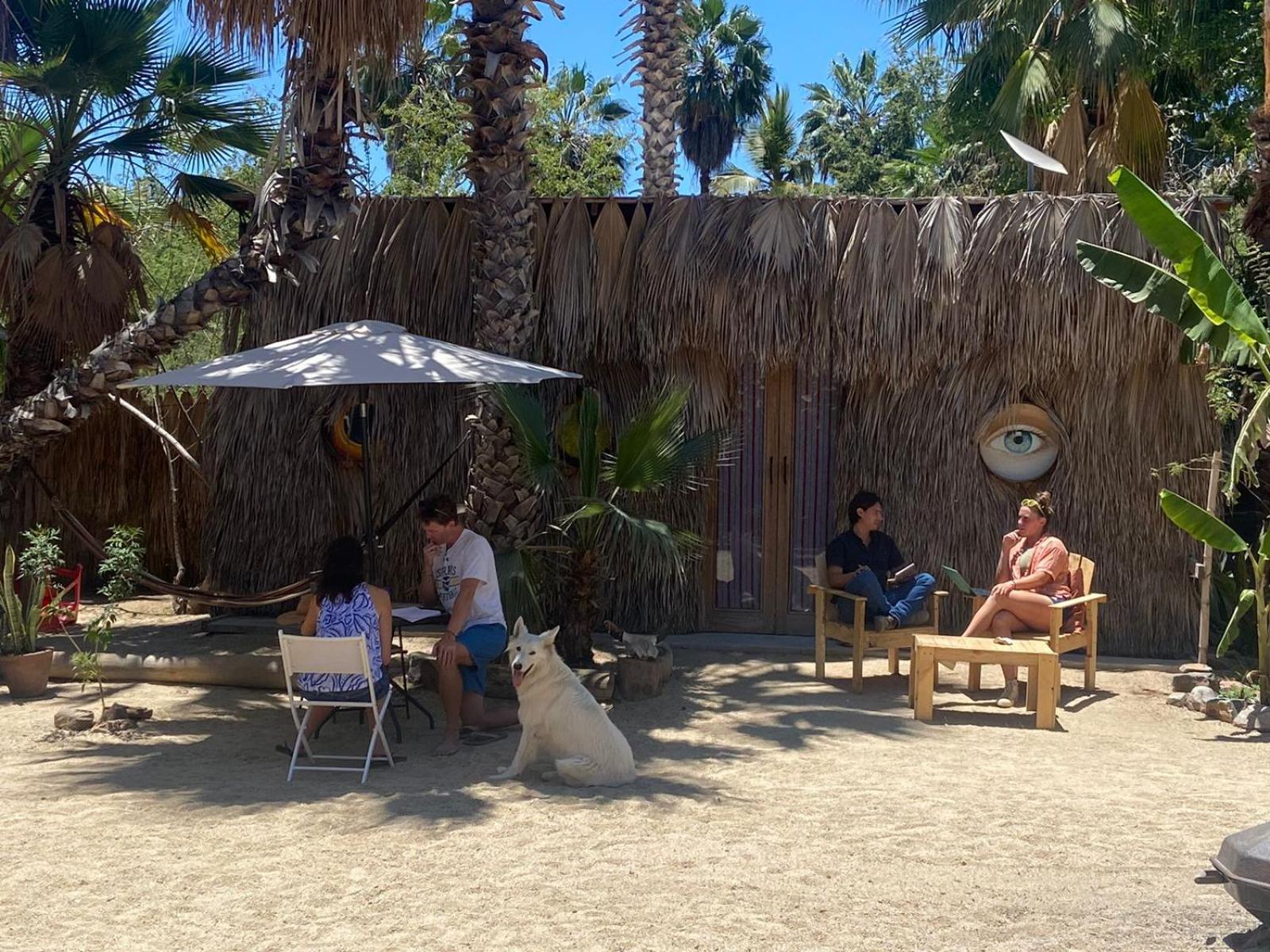 La Sardina Hostel Todos Santos Exterior foto